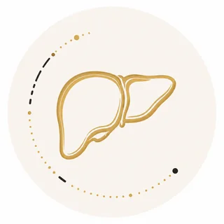 Liver diagnostics icon