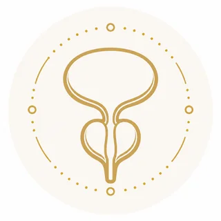 Prostate screen icon